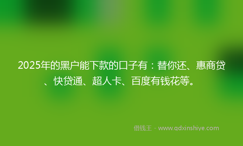 2025年的黑户能下款的口子有：替你还、惠商贷、快贷通、超人卡、百度有钱花等。