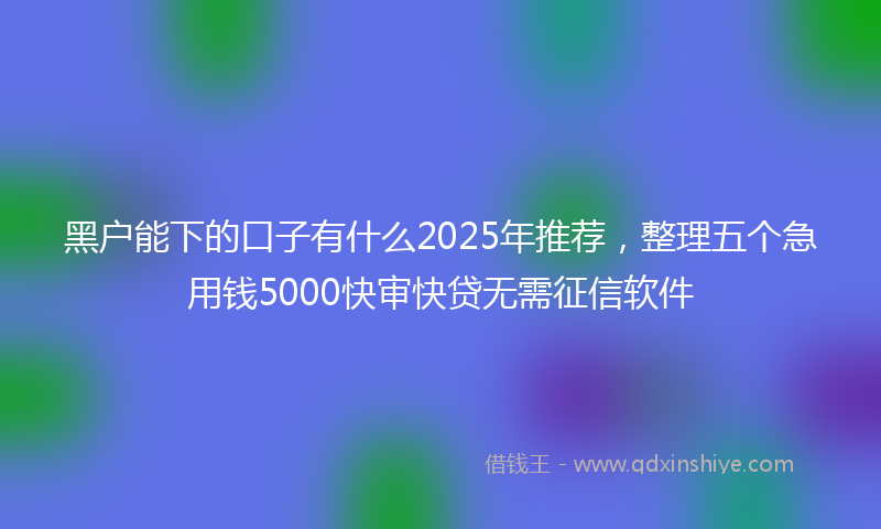 黑户能下的口子有什么2025年推荐，整理五个急用钱5000快审快贷无需征信软件
