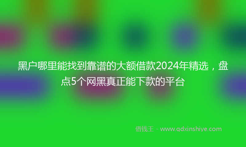 黑户哪里能找到靠谱的大额借款2024年精选，盘点5个网黑真正能下款的平台