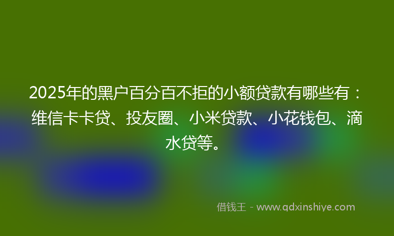 2025年的黑户百分百不拒的小额贷款有哪些有：维信卡卡贷、投友圈、小米贷款、小花钱包、滴水贷等。