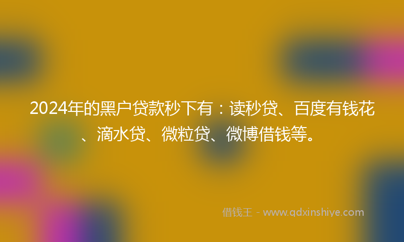 2024年的黑户贷款秒下有：读秒贷、百度有钱花、滴水贷、微粒贷、微博借钱等。