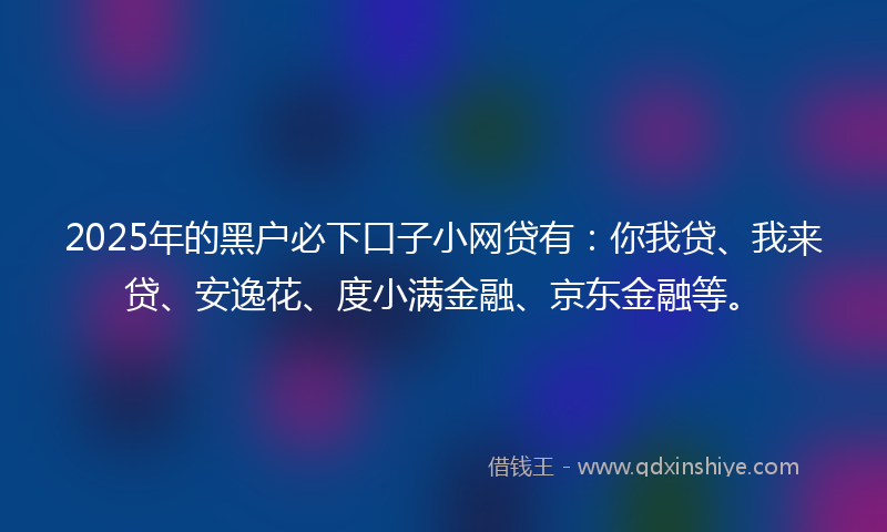 2025年的黑户必下口子小网贷有：你我贷、我来贷、安逸花、度小满金融、京东金融等。