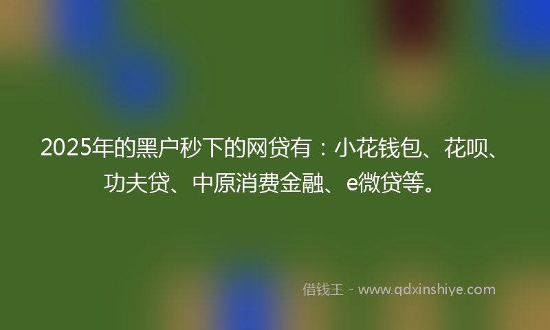 2025年的黑户秒下的网贷有：小花钱包、花呗、功夫贷、中原消费金融、e微贷等。