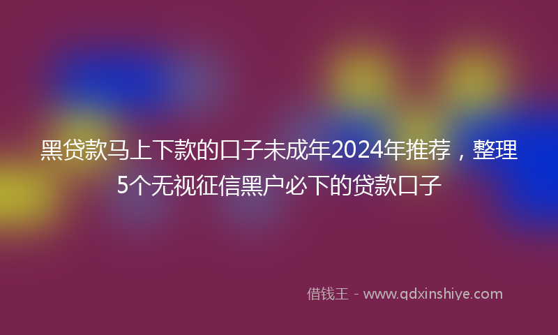 黑贷款马上下款的口子未成年2024年推荐，整理5个无视征信黑户必下的贷款口子