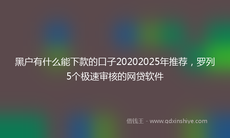黑户有什么能下款的口子20202025年推荐，罗列5个极速审核的网贷软件