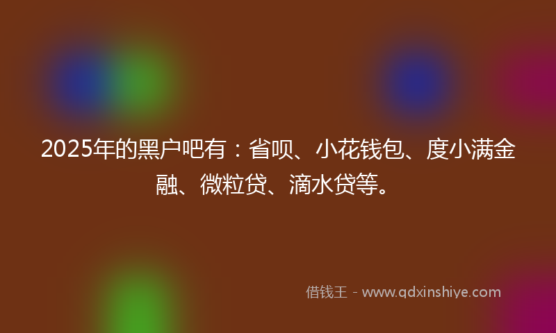 2025年的黑户吧有：省呗、小花钱包、度小满金融、微粒贷、滴水贷等。