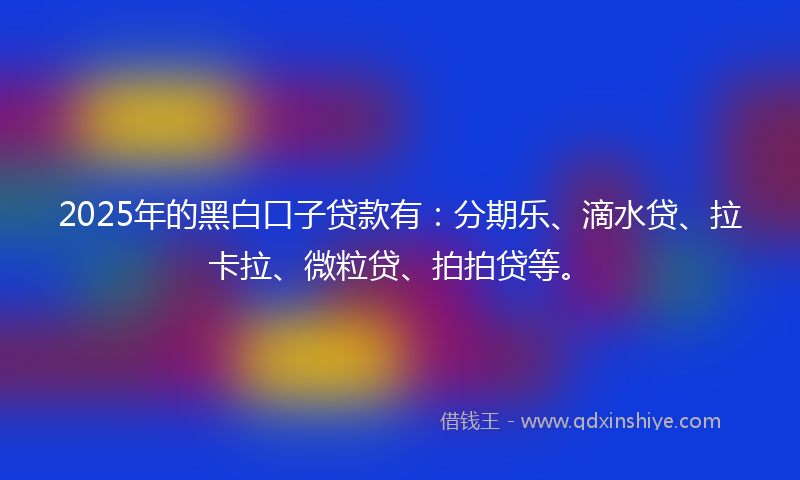 2025年的黑白口子贷款有：分期乐、滴水贷、拉卡拉、微粒贷、拍拍贷等。