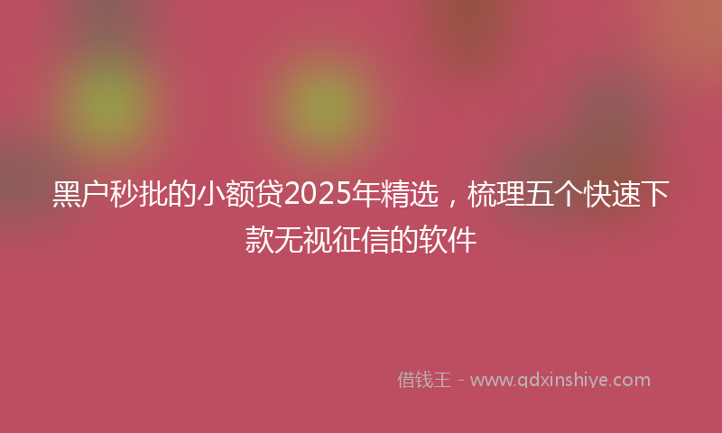 黑户秒批的小额贷2025年精选，梳理五个快速下款无视征信的软件