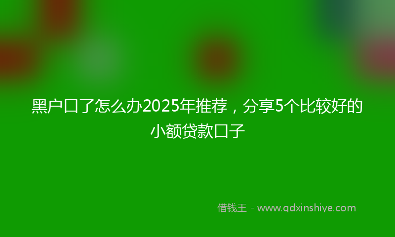 黑户口了怎么办2025年推荐，分享5个比较好的小额贷款口子