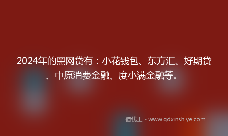 2024年的黑网贷有：小花钱包、东方汇、好期贷、中原消费金融、度小满金融等。