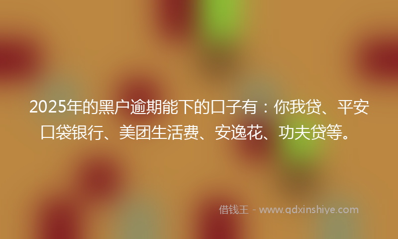 2025年的黑户逾期能下的口子有：你我贷、平安口袋银行、美团生活费、安逸花、功夫贷等。
