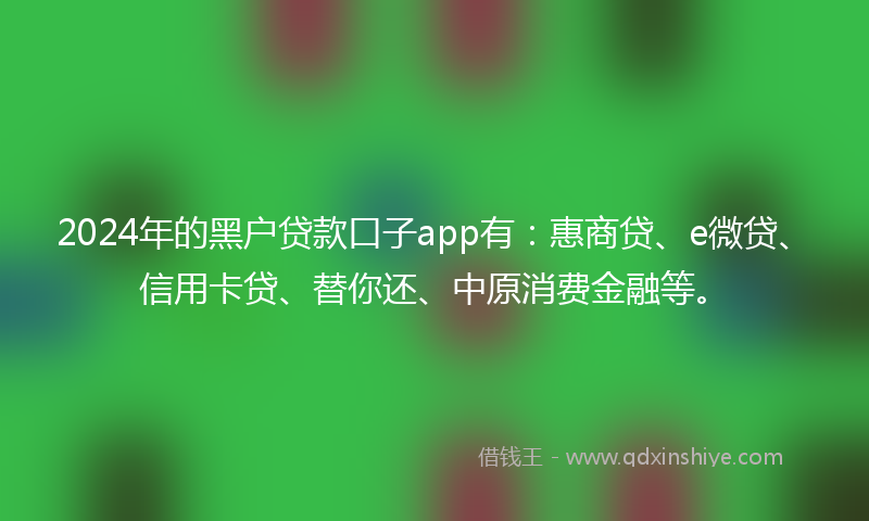 2024年的黑户贷款口子app有：惠商贷、e微贷、信用卡贷、替你还、中原消费金融等。