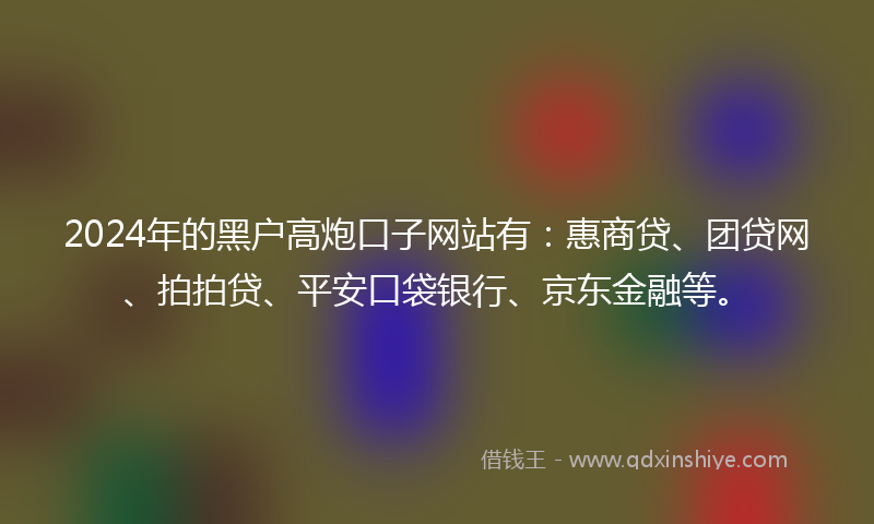 2024年的黑户高炮口子网站有：惠商贷、团贷网、拍拍贷、平安口袋银行、京东金融等。