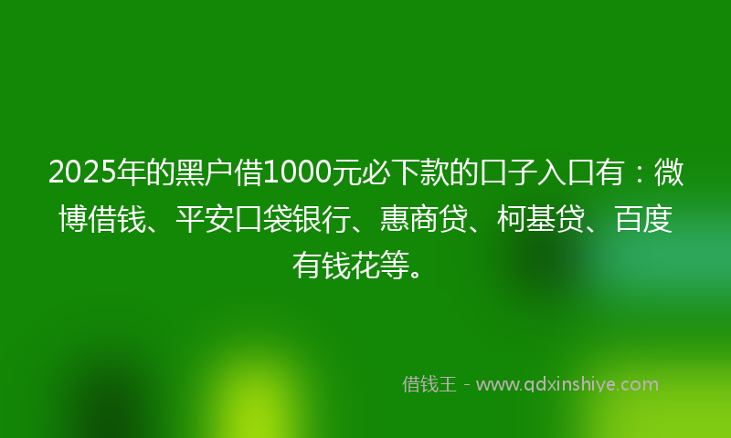 2025年的黑户借1000元必下款的口子入口有：微博借钱、平安口袋银行、惠商贷、柯基贷、百度有钱花等。