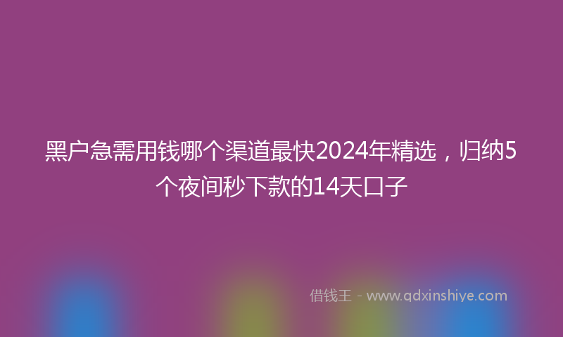 黑户急需用钱哪个渠道最快2024年精选，归纳5个夜间秒下款的14天口子