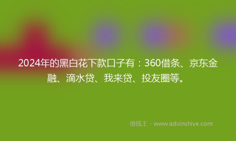 2024年的黑白花下款口子有：360借条、京东金融、滴水贷、我来贷、投友圈等。