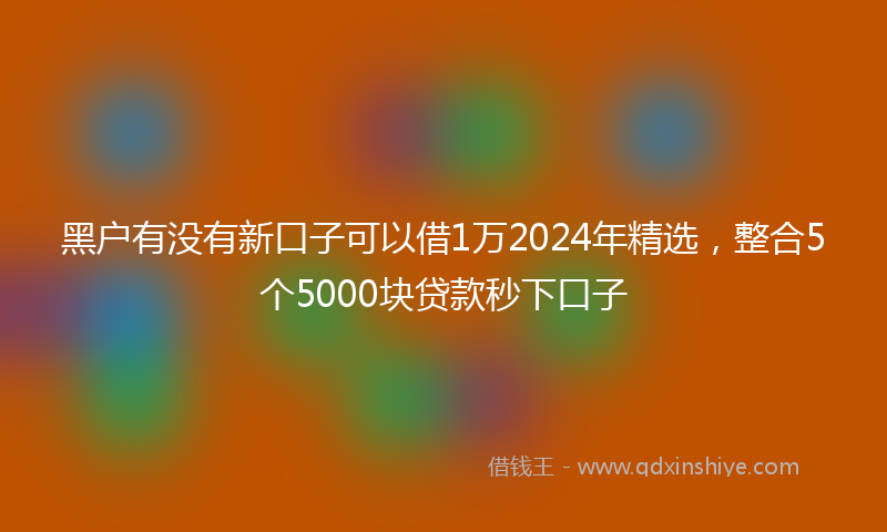黑户有没有新口子可以借1万2024年精选，整合5个5000块贷款秒下口子