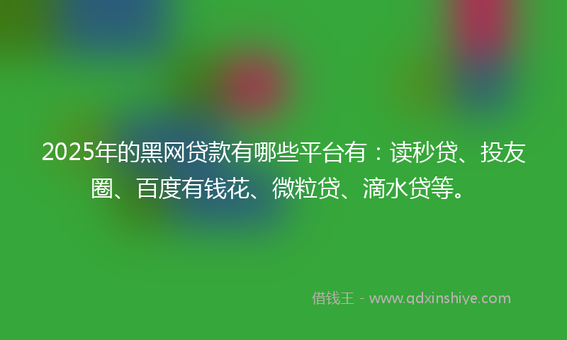 2025年的黑网贷款有哪些平台有：读秒贷、投友圈、百度有钱花、微粒贷、滴水贷等。