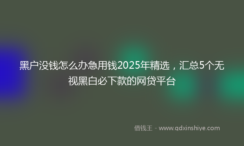 黑户没钱怎么办急用钱2025年精选，汇总5个无视黑白必下款的网贷平台