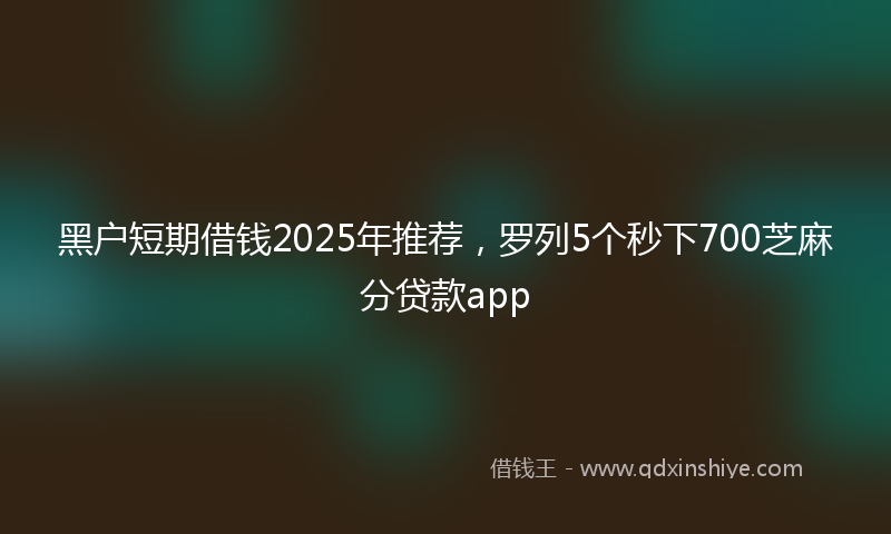 黑户短期借钱2025年推荐，罗列5个秒下700芝麻分贷款app