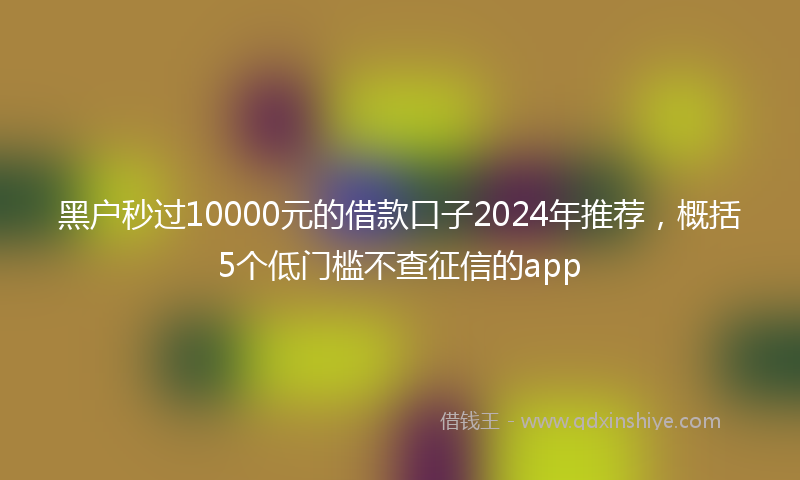 黑户秒过10000元的借款口子2024年推荐，概括5个低门槛不查征信的app