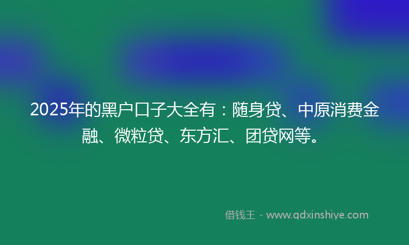 2025年的黑户口子大全有：随身贷、中原消费金融、微粒贷、东方汇、团贷网等。