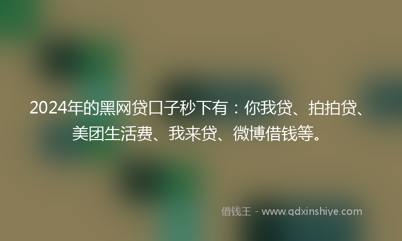 2024年的黑网贷口子秒下有：你我贷、拍拍贷、美团生活费、我来贷、微博借钱等。