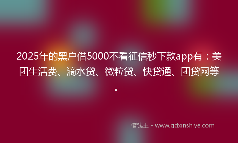 2025年的黑户借5000不看征信秒下款app有：美团生活费、滴水贷、微粒贷、快贷通、团贷网等。