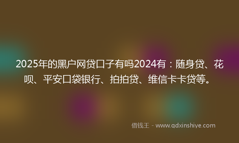 2025年的黑户网贷口子有吗2024有：随身贷、花呗、平安口袋银行、拍拍贷、维信卡卡贷等。