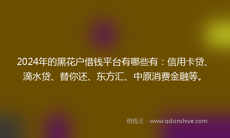 2024年的黑花户借钱平台有哪些有：信用卡贷、滴水贷、替你还、东方汇、中原消费金融等。