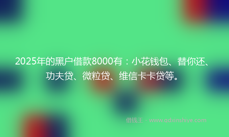2025年的黑户借款8000有：小花钱包、替你还、功夫贷、微粒贷、维信卡卡贷等。