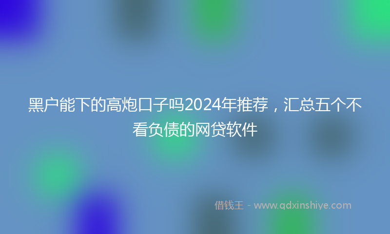 黑户能下的高炮口子吗2024年推荐，汇总五个不看负债的网贷软件