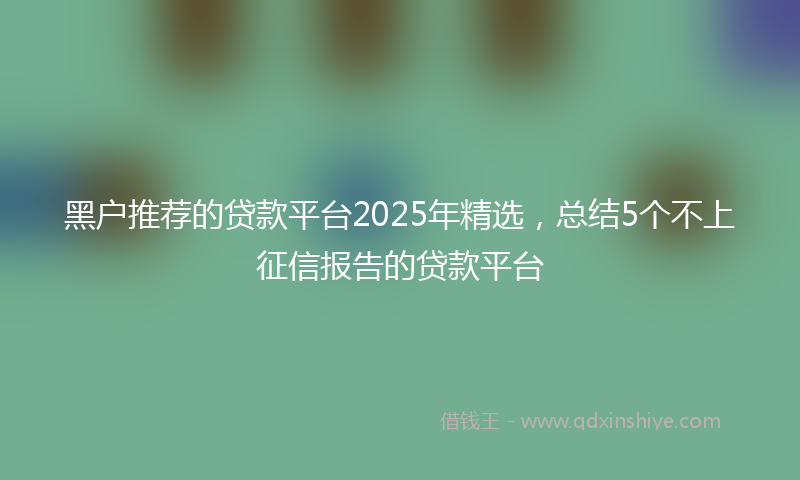 黑户推荐的贷款平台2025年精选，总结5个不上征信报告的贷款平台