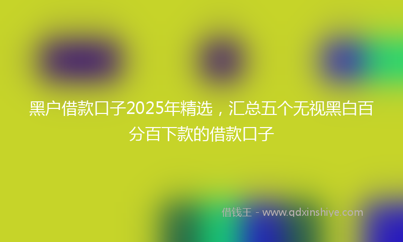 黑户借款口子2025年精选，汇总五个无视黑白百分百下款的借款口子