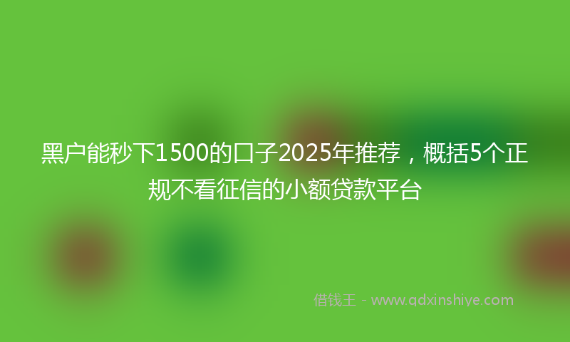 黑户能秒下1500的口子2025年推荐，概括5个正规不看征信的小额贷款平台