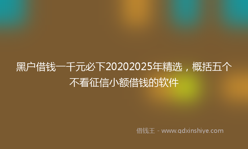 黑户借钱一千元必下20202025年精选，概括五个不看征信小额借钱的软件