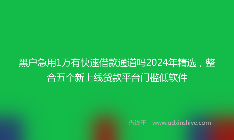 黑户急用1万有快速借款通道吗2024年精选，整合五个新上线贷款平台门槛低软件