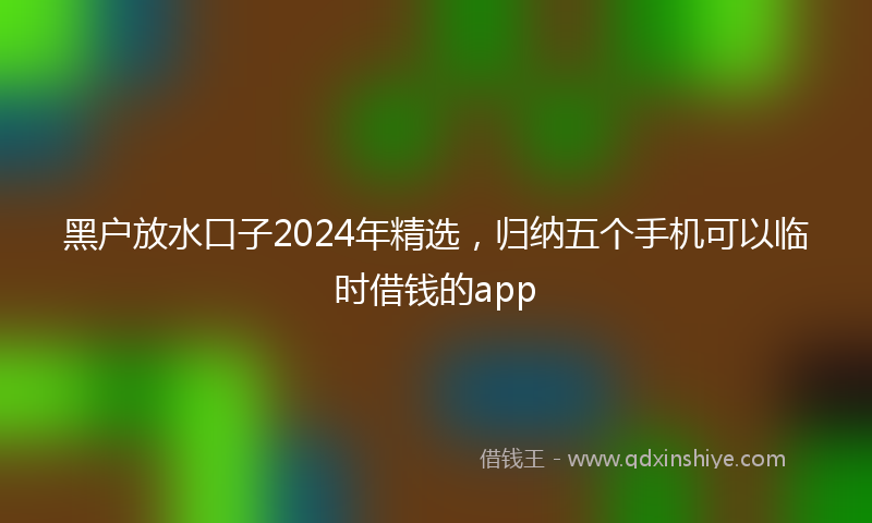 黑户放水口子2024年精选，归纳五个手机可以临时借钱的app