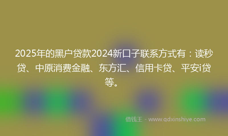 2025年的黑户贷款2024新口子联系方式有：读秒贷、中原消费金融、东方汇、信用卡贷、平安i贷等。