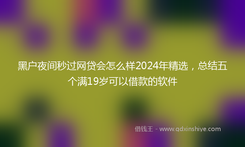 黑户夜间秒过网贷会怎么样2024年精选，总结五个满19岁可以借款的软件