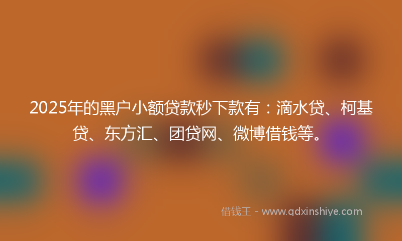 2025年的黑户小额贷款秒下款有：滴水贷、柯基贷、东方汇、团贷网、微博借钱等。