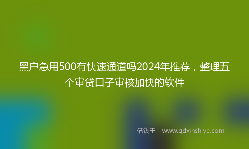 黑户急用500有快速通道吗2024年推荐，整理五个审贷口子审核加快的软件