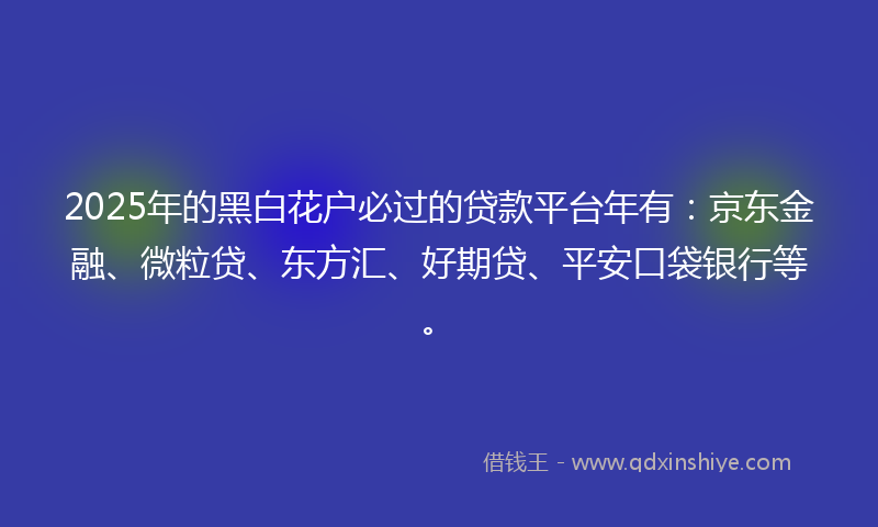 2025年的黑白花户必过的贷款平台年有：京东金融、微粒贷、东方汇、好期贷、平安口袋银行等。