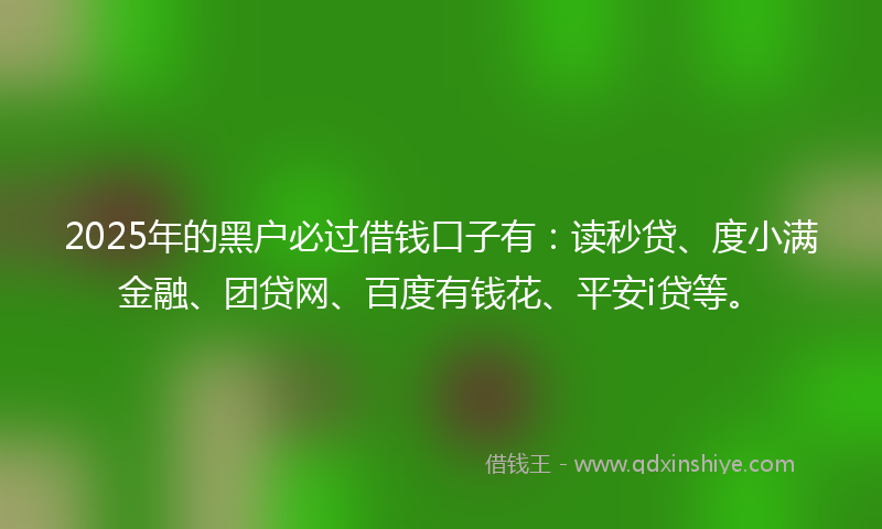 2025年的黑户必过借钱口子有：读秒贷、度小满金融、团贷网、百度有钱花、平安i贷等。