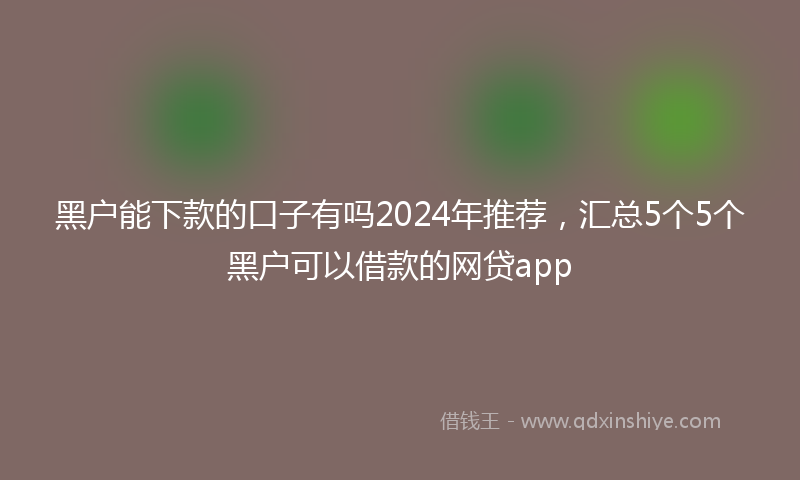 黑户能下款的口子有吗2024年推荐，汇总5个5个黑户可以借款的网贷app