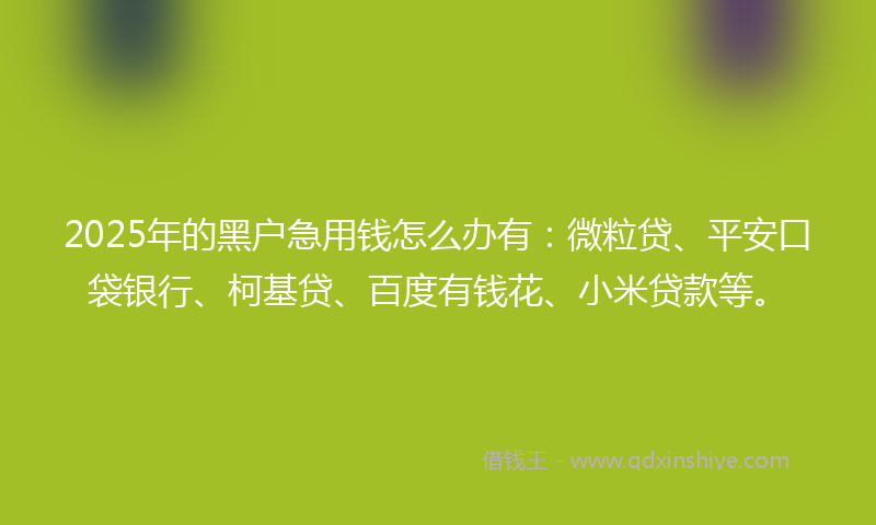 2025年的黑户急用钱怎么办有：微粒贷、平安口袋银行、柯基贷、百度有钱花、小米贷款等。