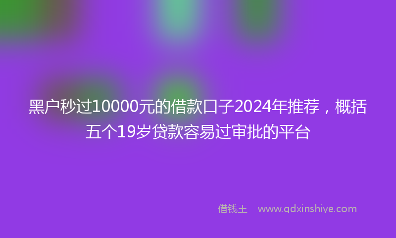 黑户秒过10000元的借款口子2024年推荐，概括五个19岁贷款容易过审批的平台