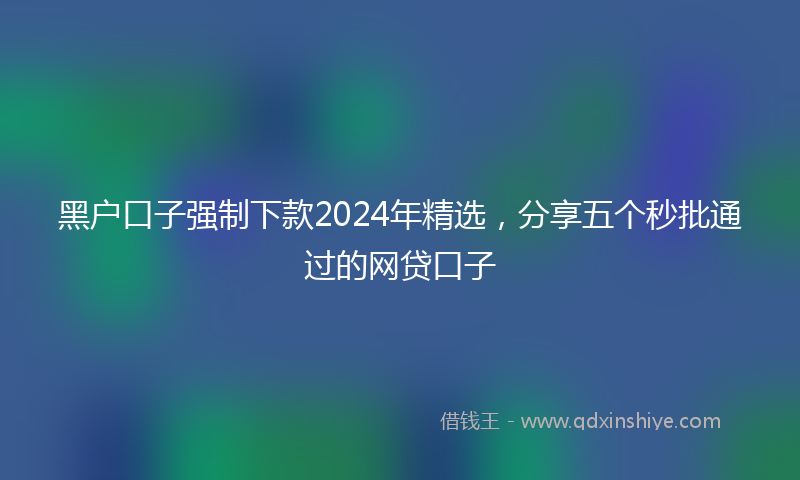 黑户口子强制下款2024年精选，分享五个秒批通过的网贷口子