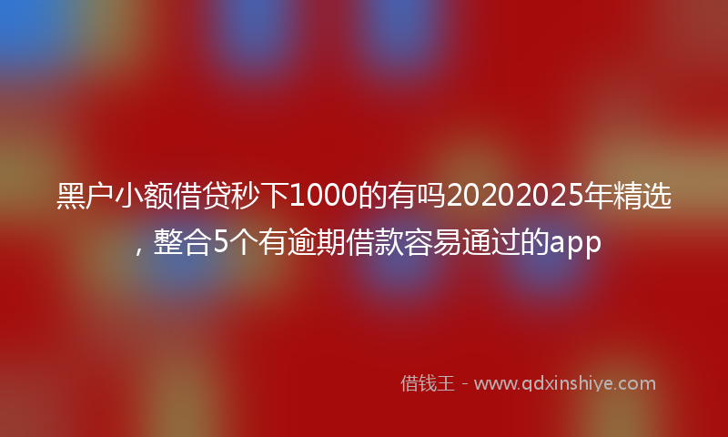 黑户小额借贷秒下1000的有吗20202025年精选，整合5个有逾期借款容易通过的app