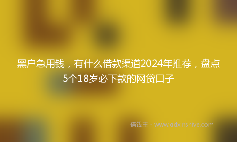 黑户急用钱，有什么借款渠道2024年推荐，盘点5个18岁必下款的网贷口子